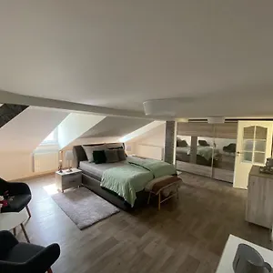 https://apt-city-center-katarina.marianskelaznehotels.net